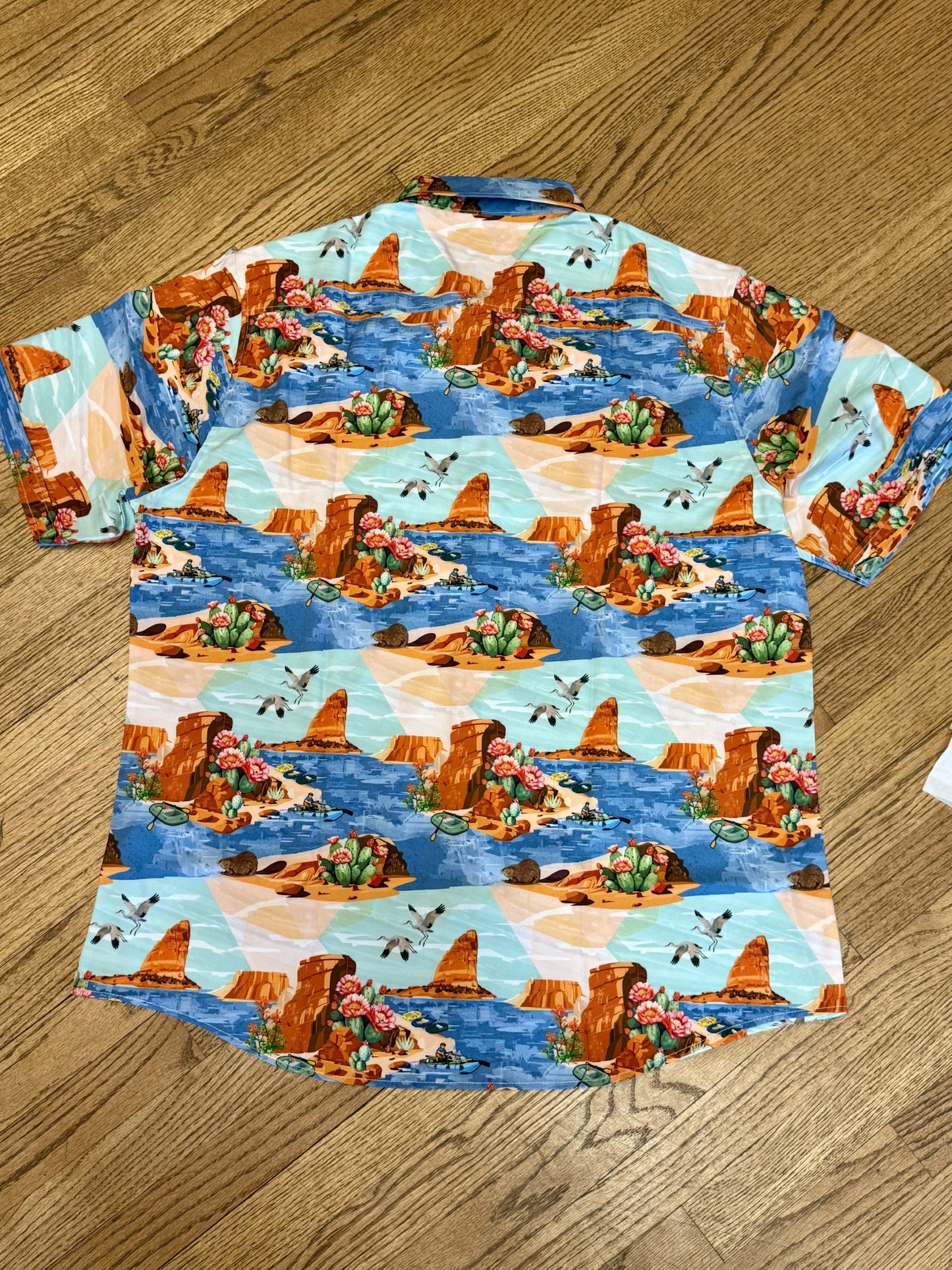 2026 (Men's) Best Day Ever Party Shirt